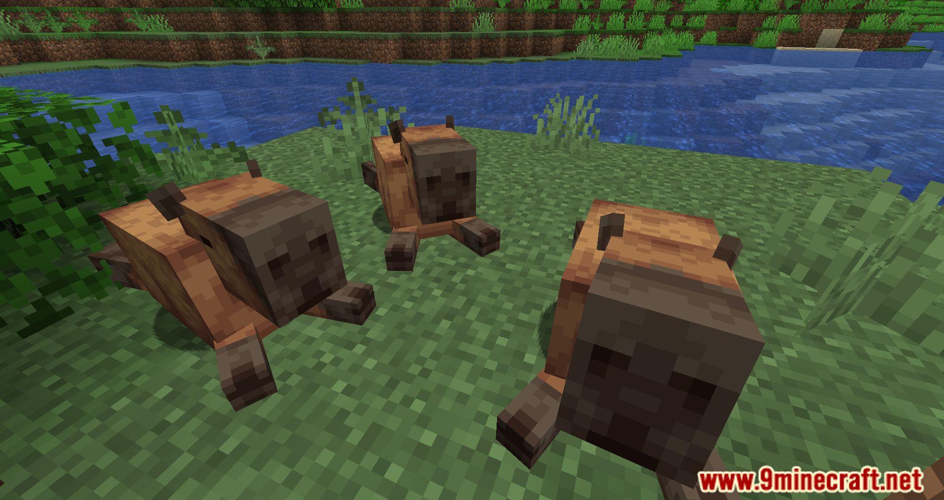description_3 Capybara Mod 1.20.2 - Новые существа в джунглях