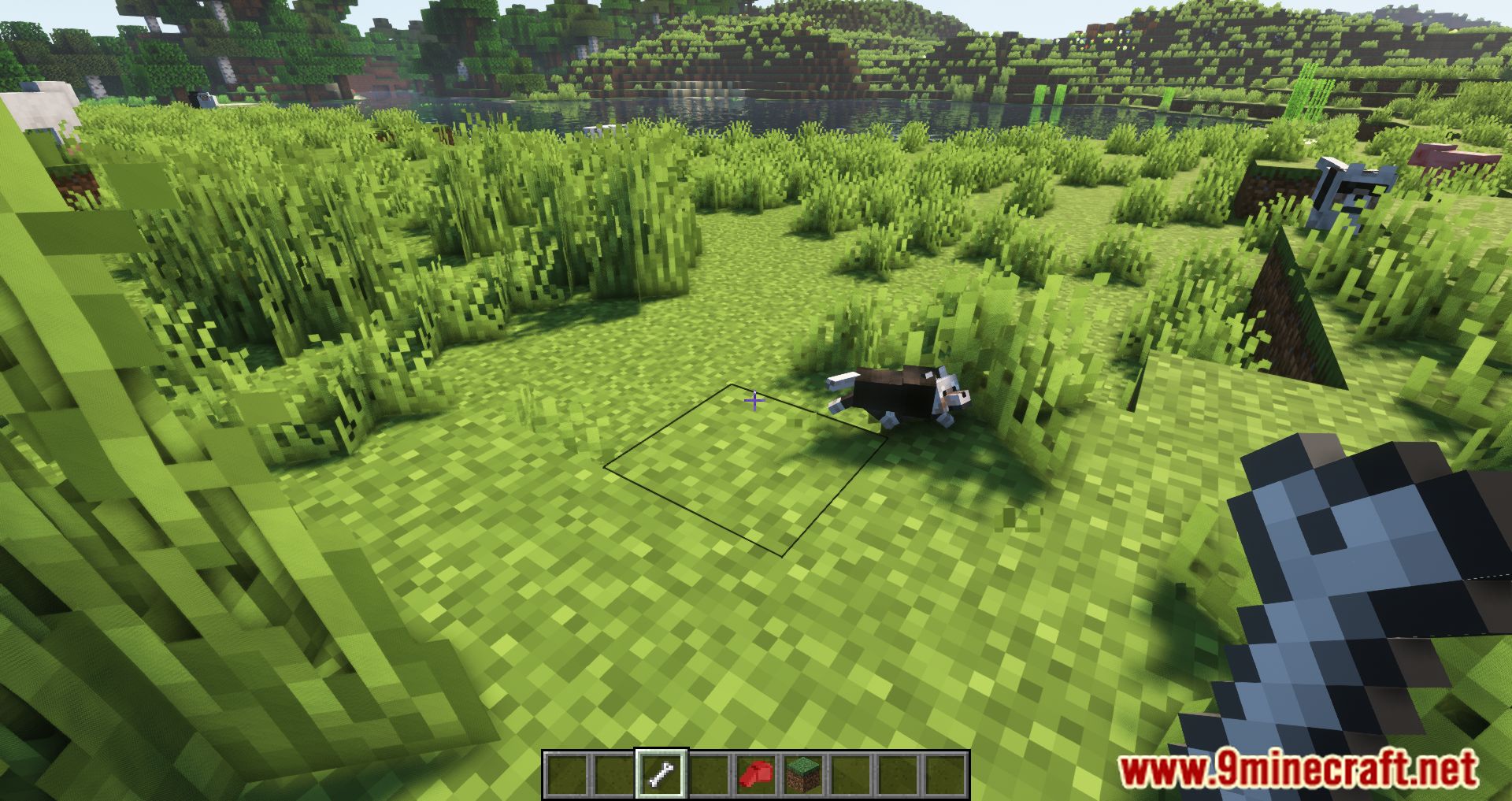 description_6 Doggy Talents Next Mod 1.20.1 - You can train your dog.