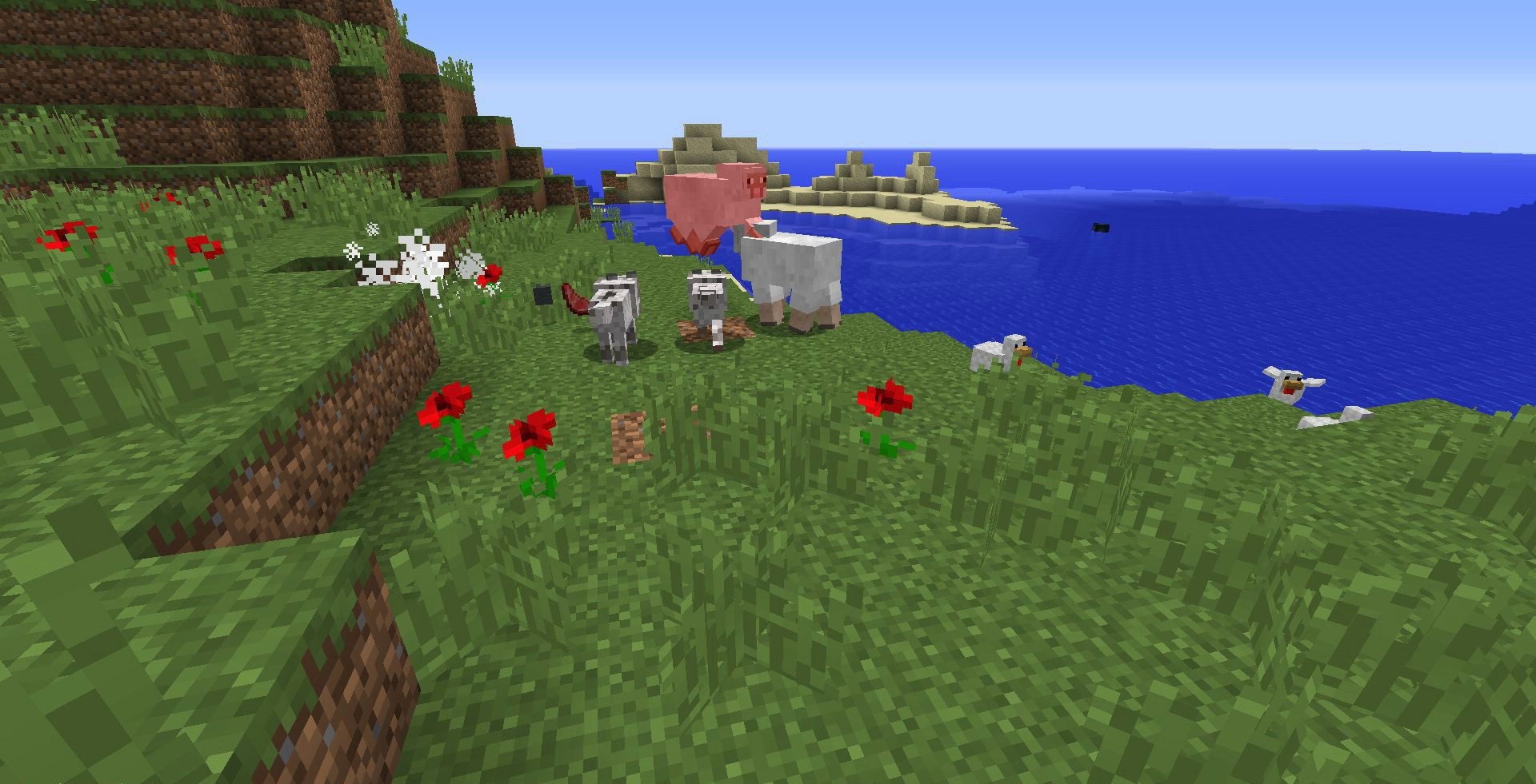 imagem 1 para