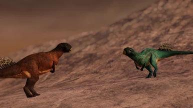  image 7 for