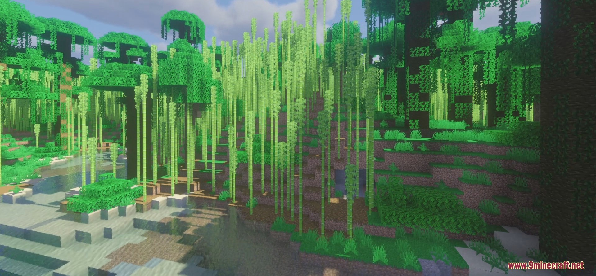description_4 Raspberry Shaders 1.20.4 - free version of MollyVX