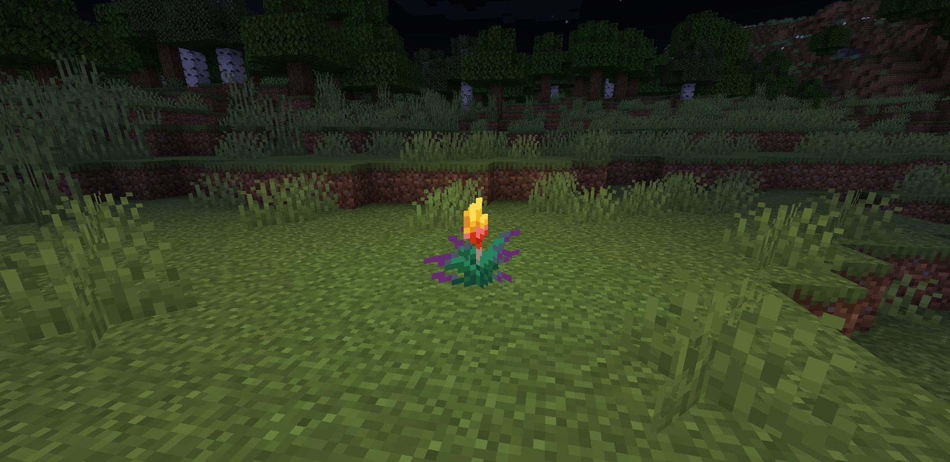 description_0 Glowing Torchflower.