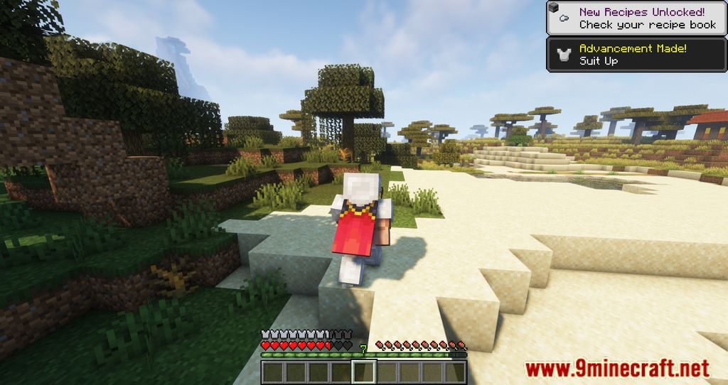 image 9 for Armour Weight Mod (1.20.4) - adds weight to the armor.