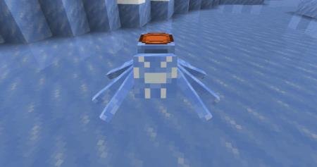 description_2 Riding on spiders.