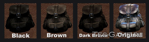 description_2 Leather backpack - SE