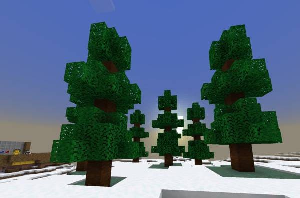 description_24 New Year's survival.