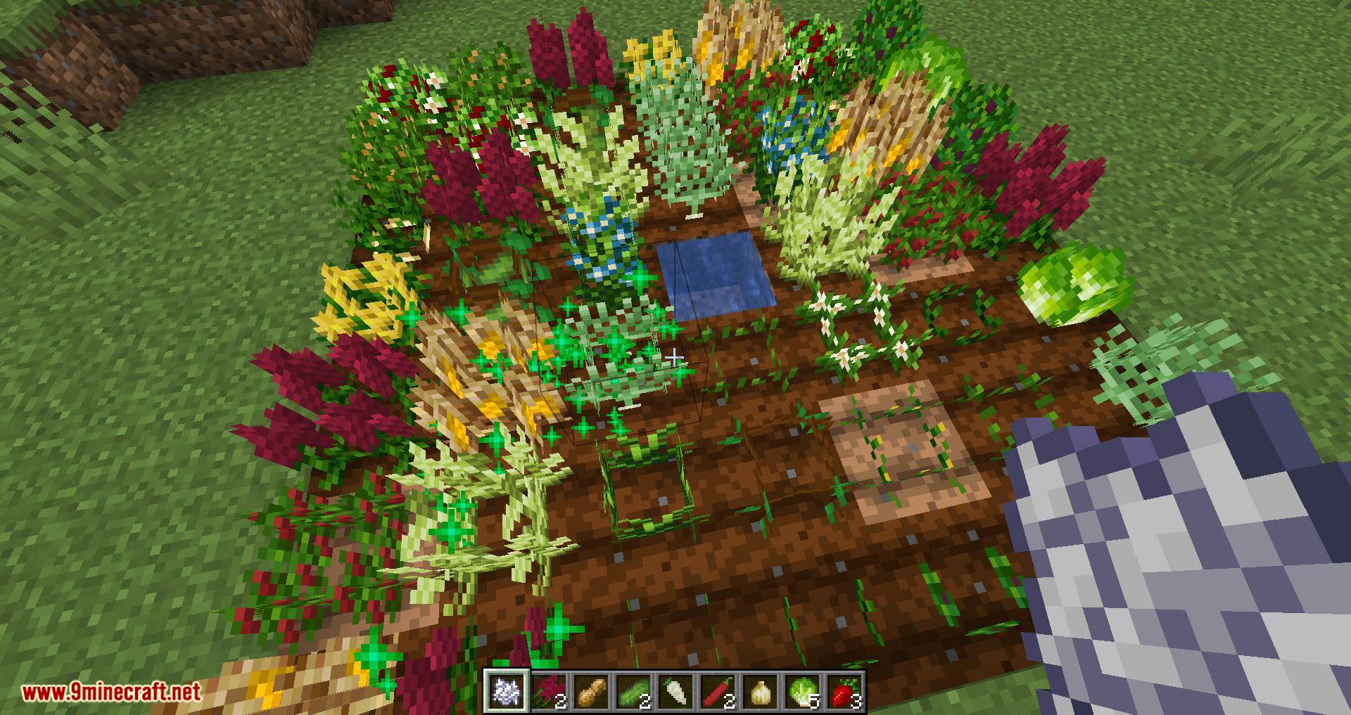 description_4 Pam's HarvestCraft 2 - Crops Mod - many new crops