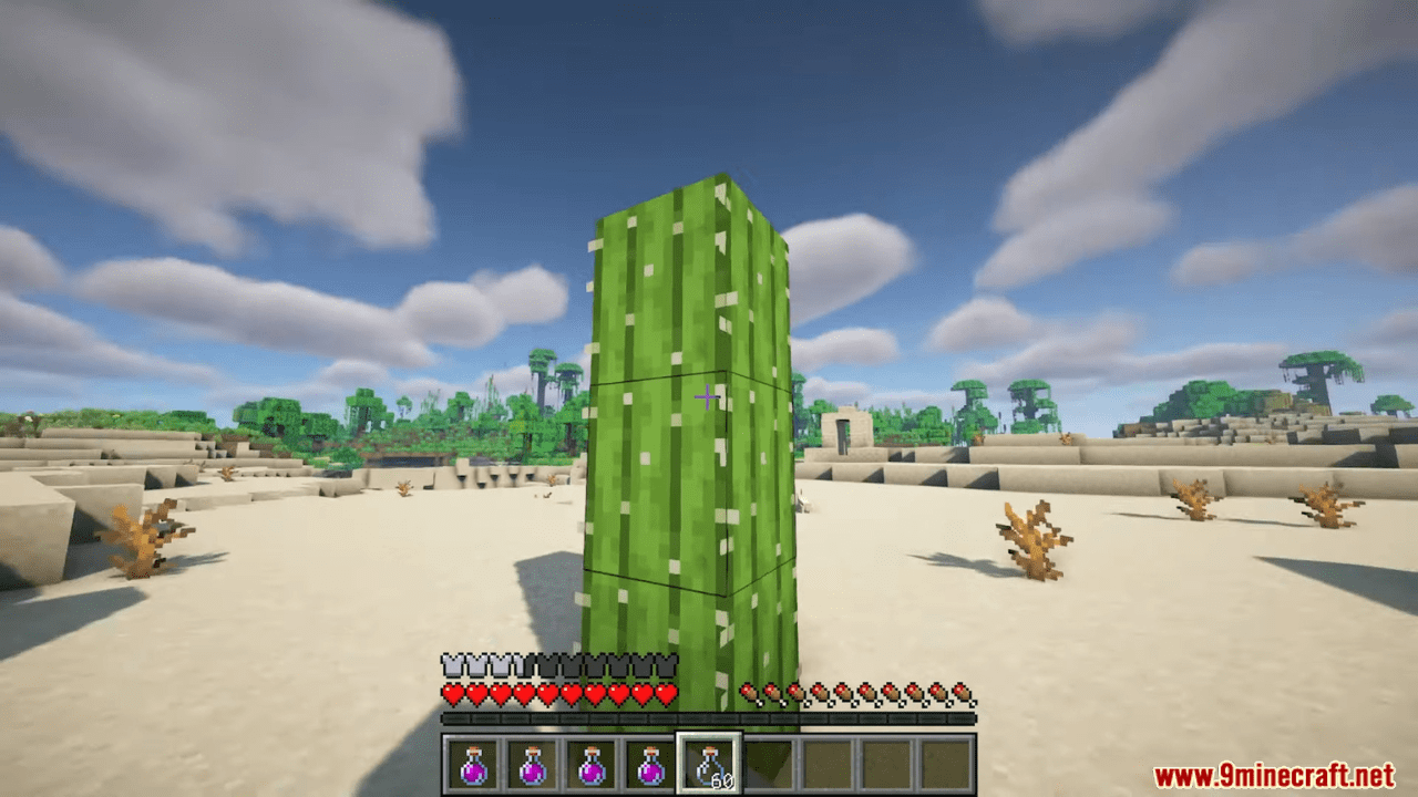 image 2 for Water Desert Survival Fashion Cactus (1.20.1)