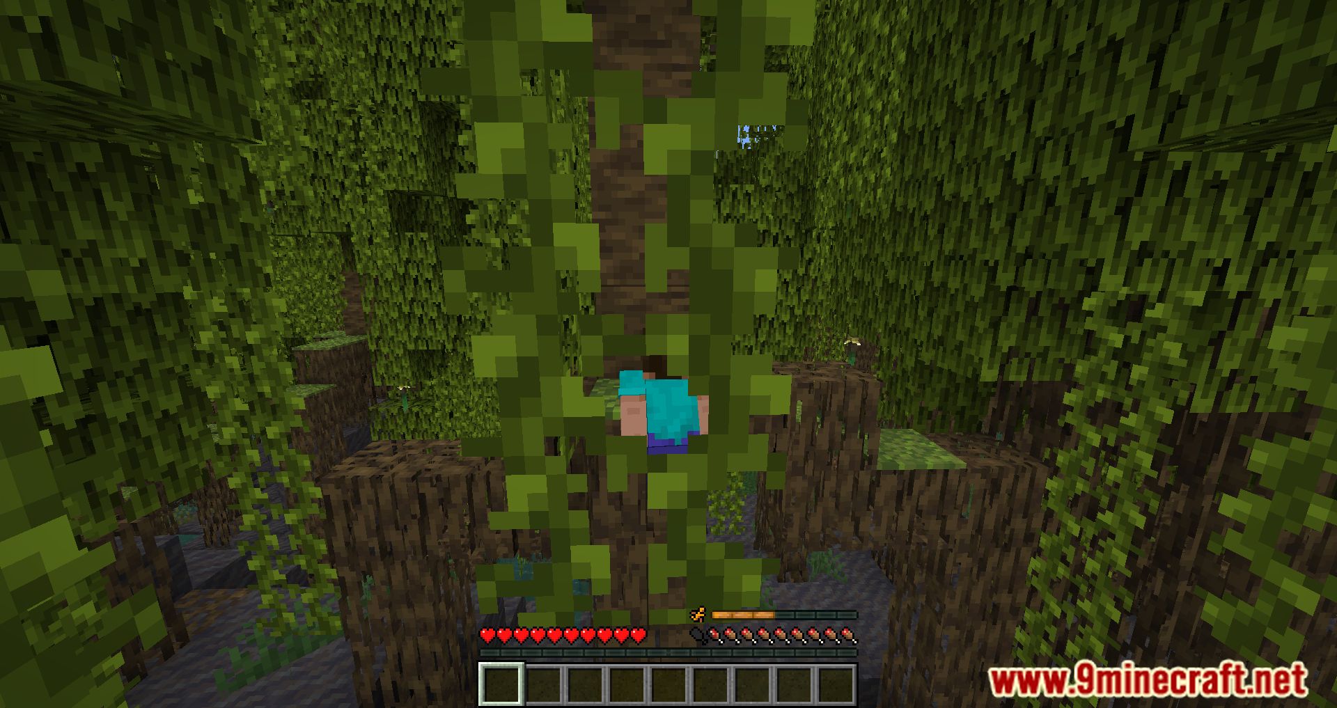 Imagen 14 para Animal Origins Mod (1.20.6) - ¡Conviértete en un animal!