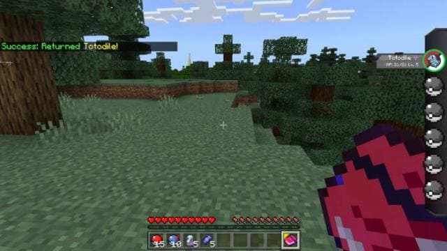 description_6 Pokébedrock