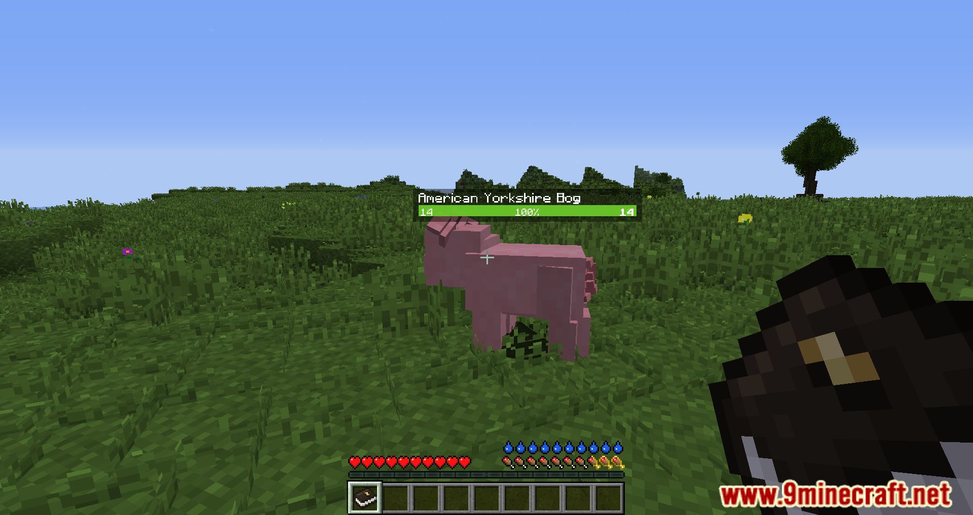 description_1 Homestead Modpack (1.10.2) - хардкорный модпак для выживания