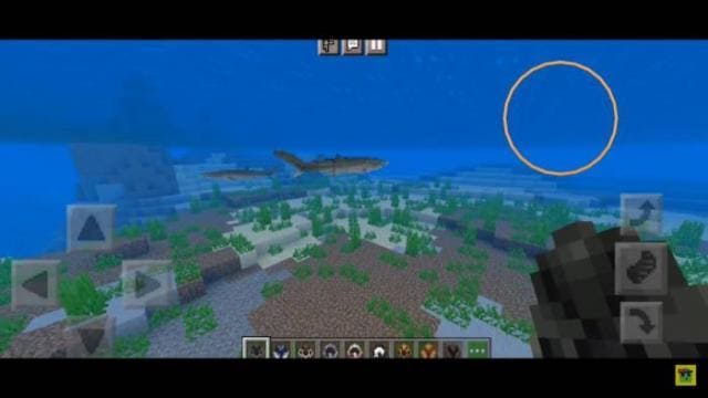 description_5 Подводные животные.
