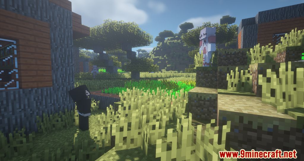 description_6 Better Dex Rewards Mod 1.16.5 - more rewards for players