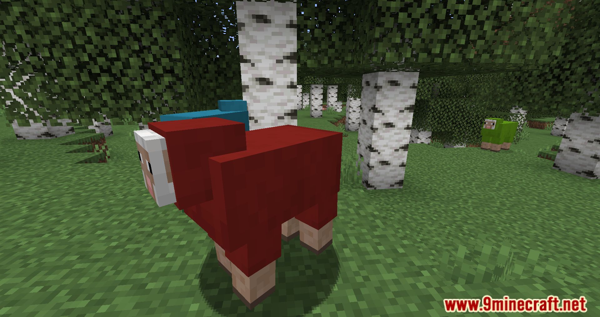 description_2 Random Sheep Colours Mod 1.20.4 - добавьте ярких красок в ваше стадо