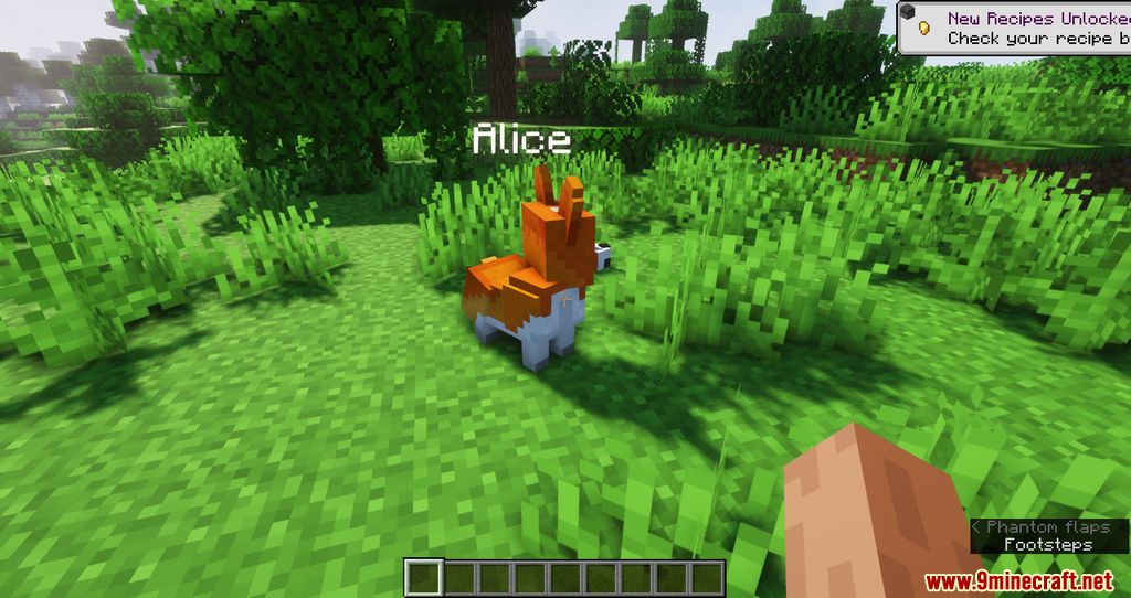 description_7 Player Companions Mod - New friends for your next adventure.