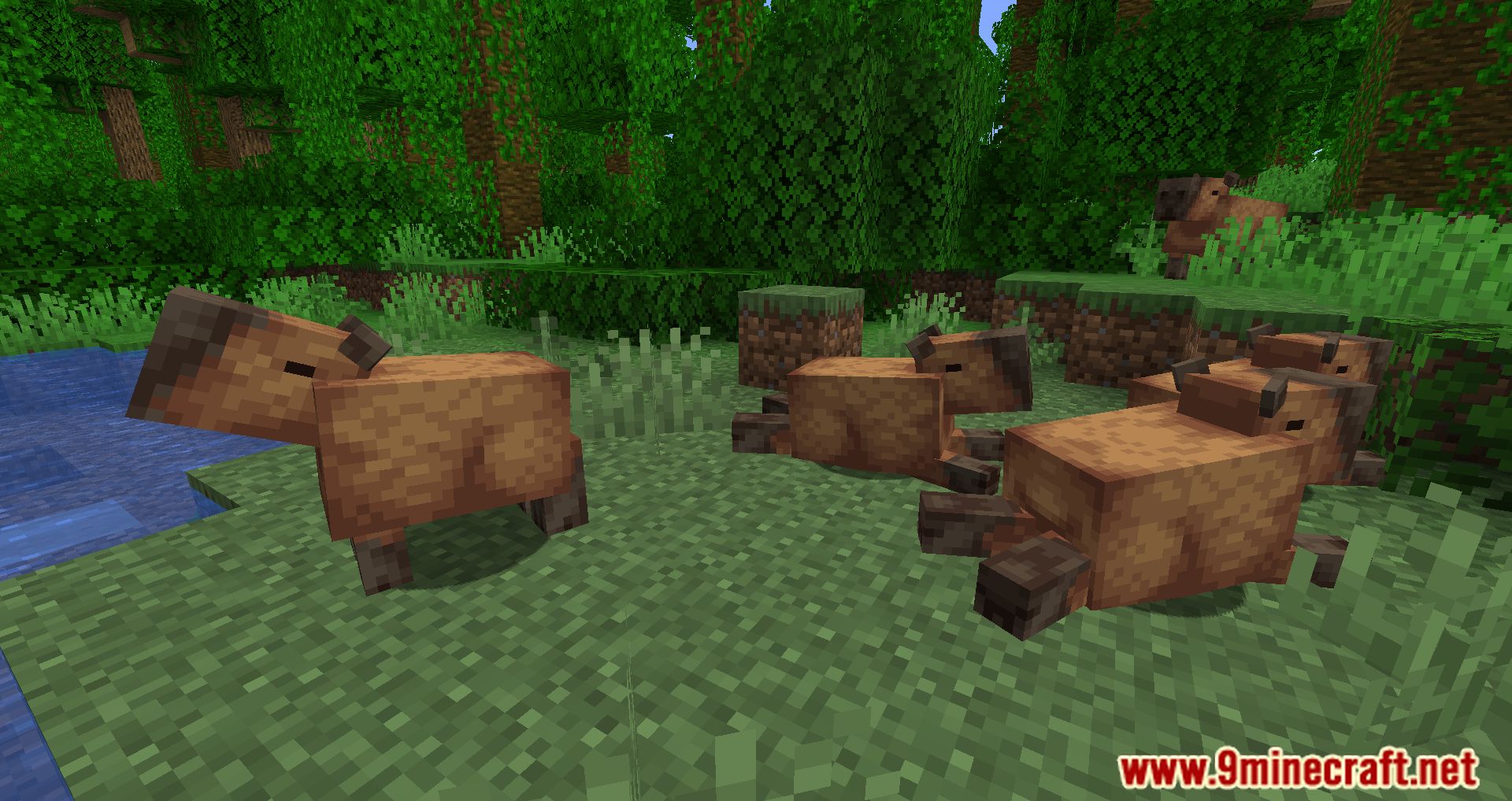 description_5 Capybara Mod 1.20.2 - Новые существа в джунглях