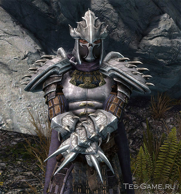 descripción_0 Shredder Armor Special Edition