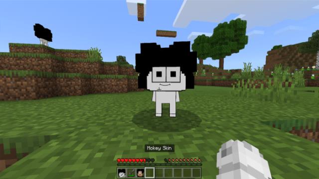 description_5 Шоу мокки.