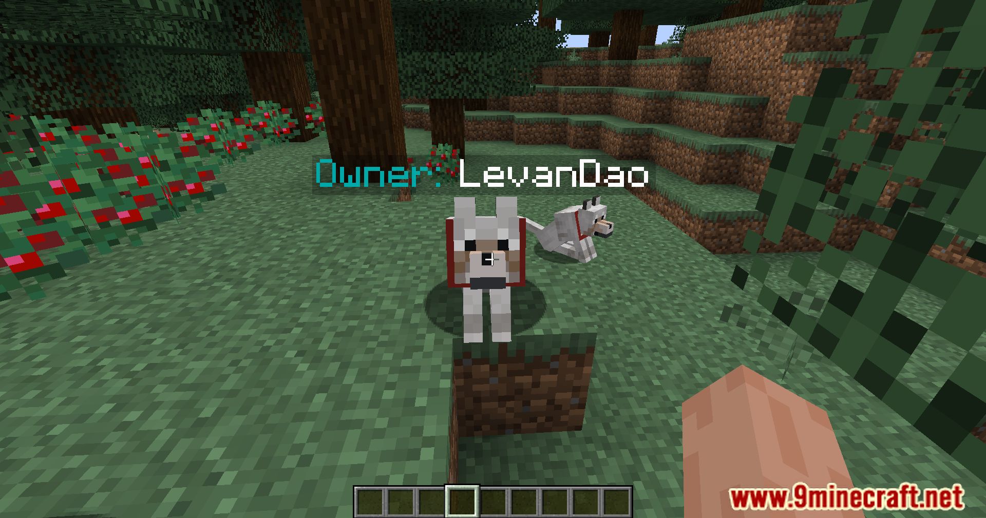 description_2 Dueño de mascotas Mod 1.20.4 - identificar a los dueños de mascotas de un vistazo