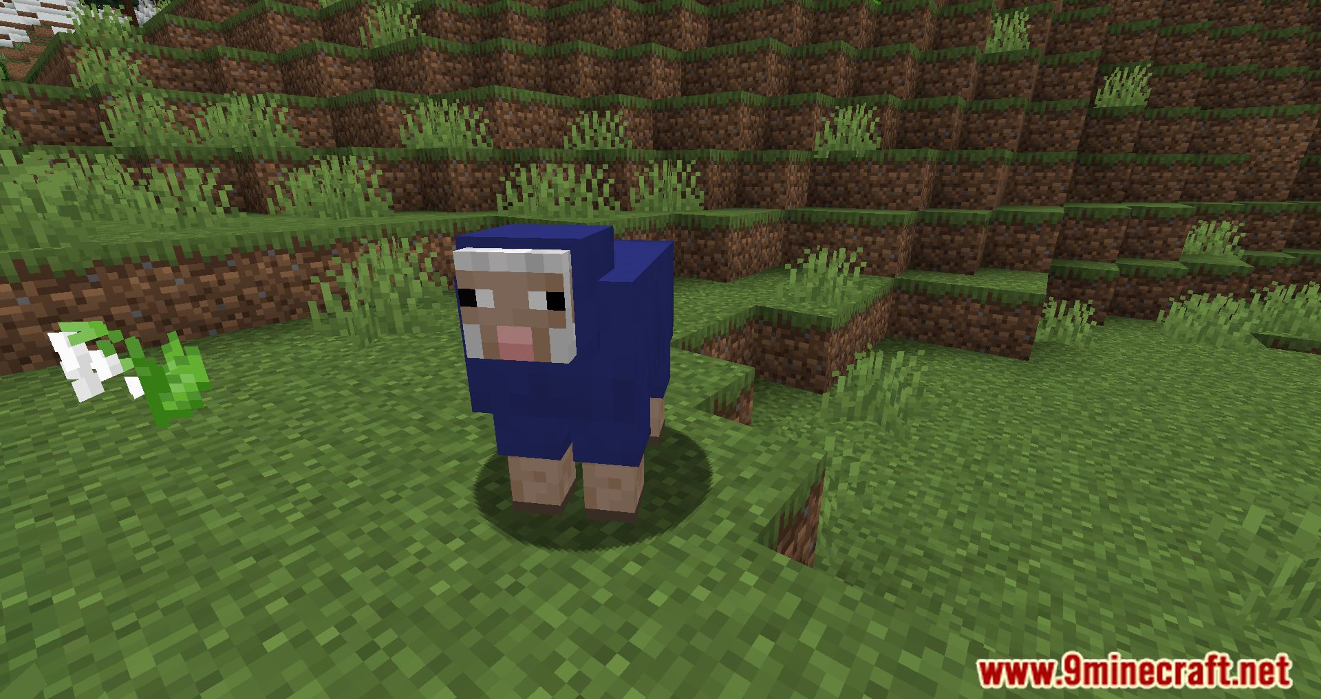 description_6 Random Sheep Colours Mod 1.20.4 - добавьте ярких красок в ваше стадо
