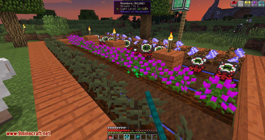 description_23 Advenimiento de Ascensión Mod (1.20.4) - Minecraft Nevermine