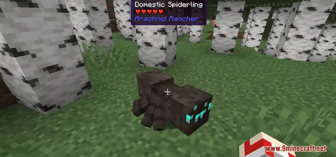 description_8 Arachnid Rancher Mod 1.19.2 - As mais bonitas aranhas domésticas inofensivas