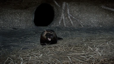 image 5 for 