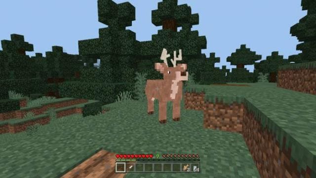 description_2 Hunting.