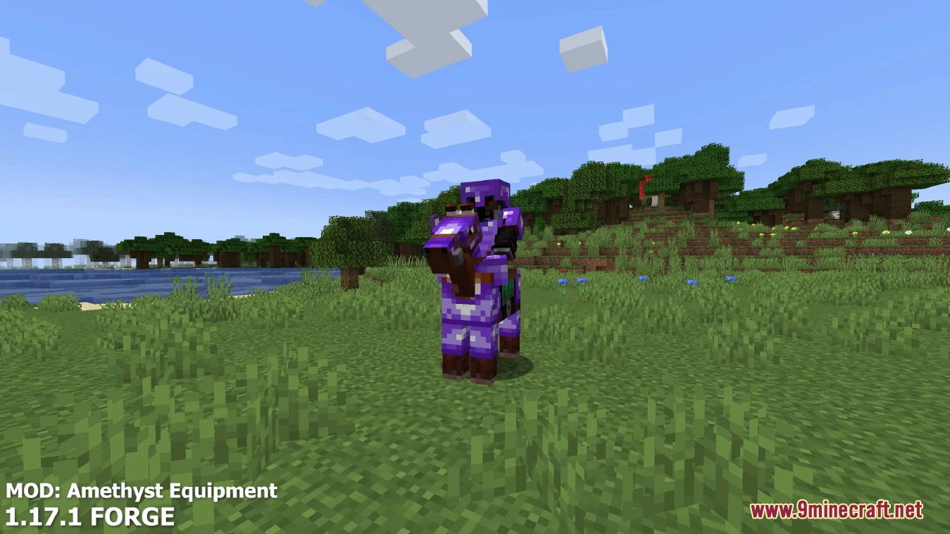 description_4 Amethyst equipment mod - Amethyst tools