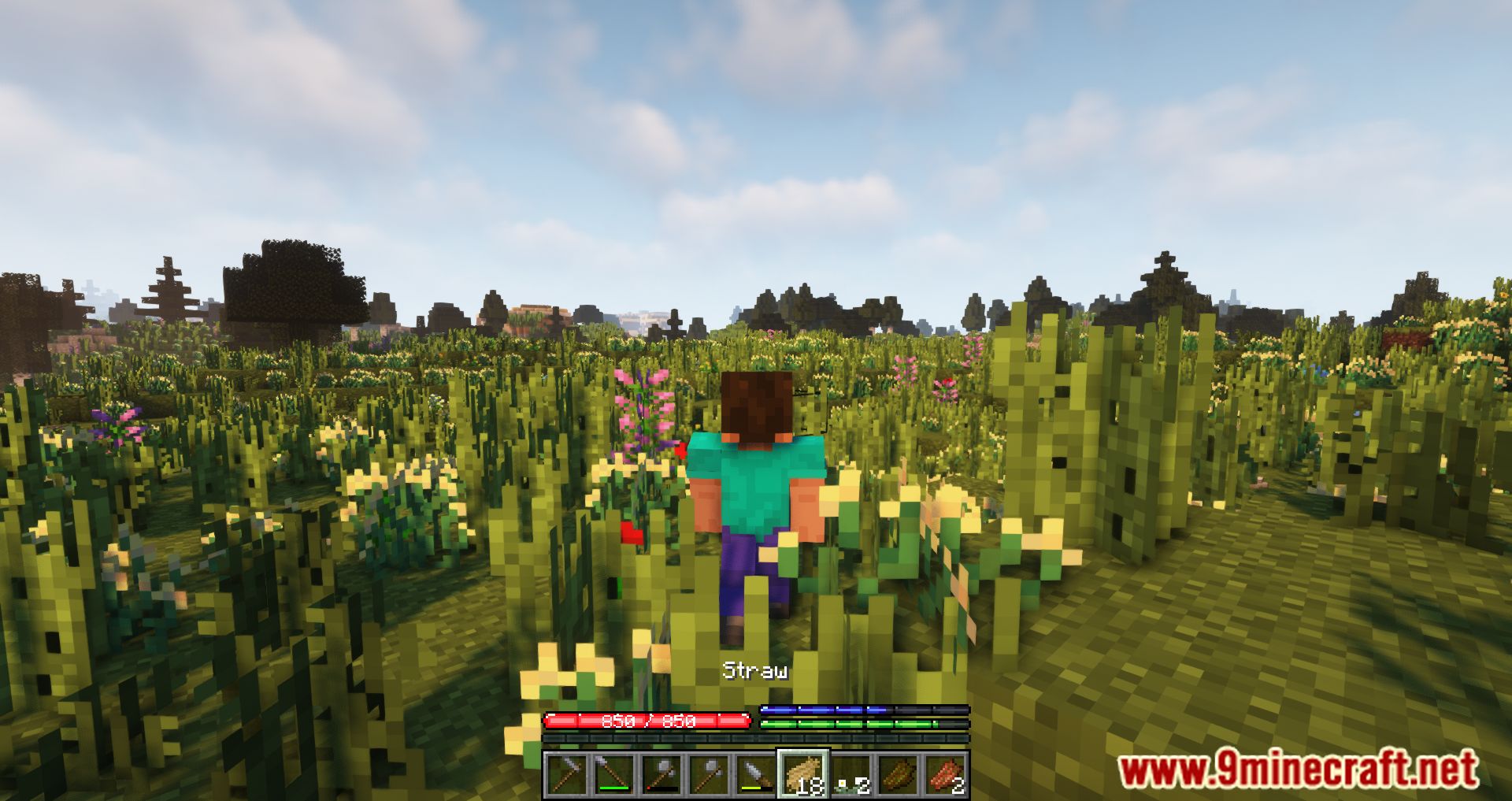 description_18 TerraFirmaCraft Mod - Rework and reinvent survival mode.