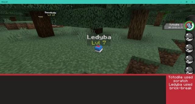 description_19 Pokébedrock