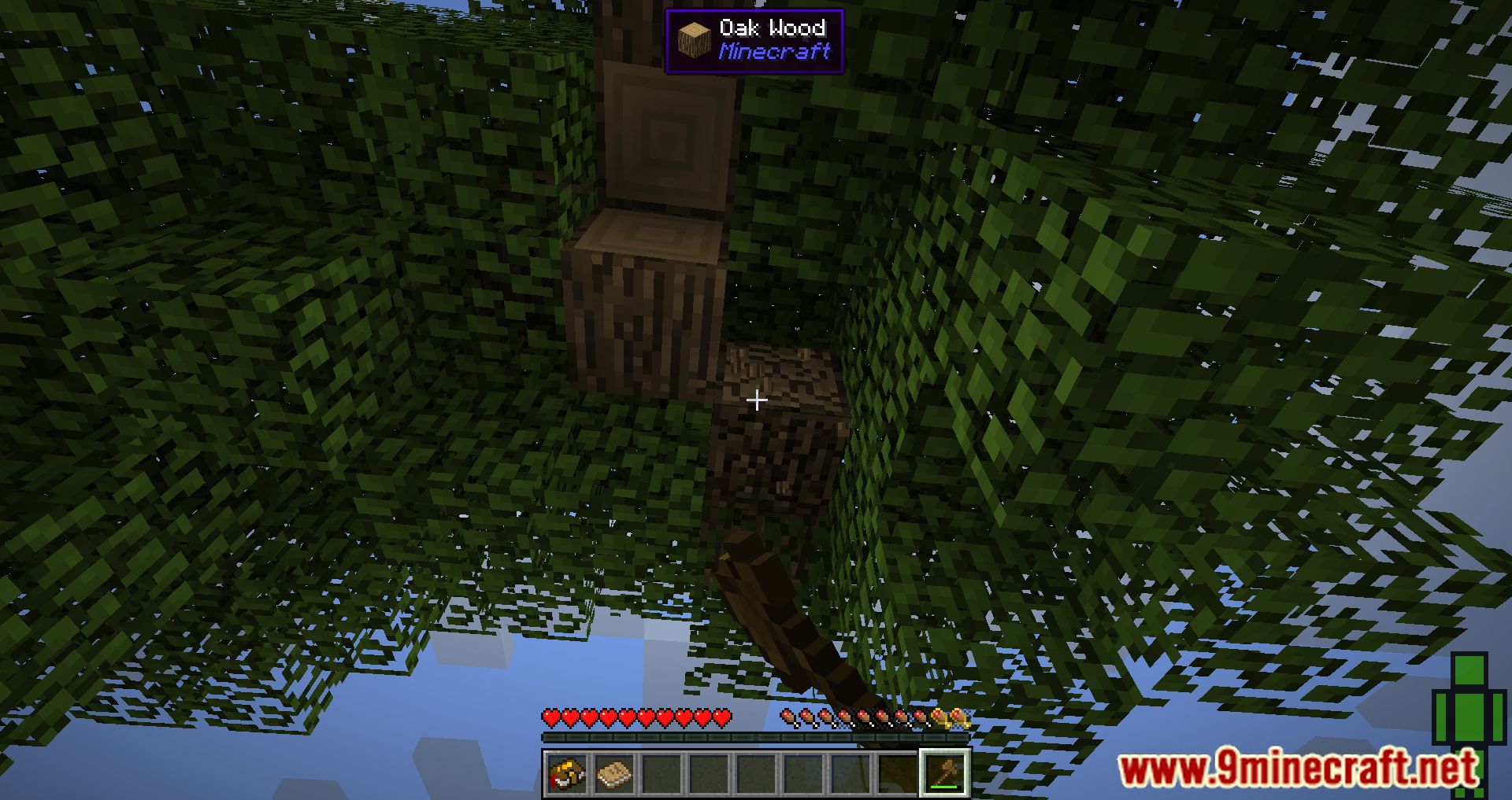 description_9 Horror Craft Mod Pack (1.12.2) - Un mundo de horror te espera