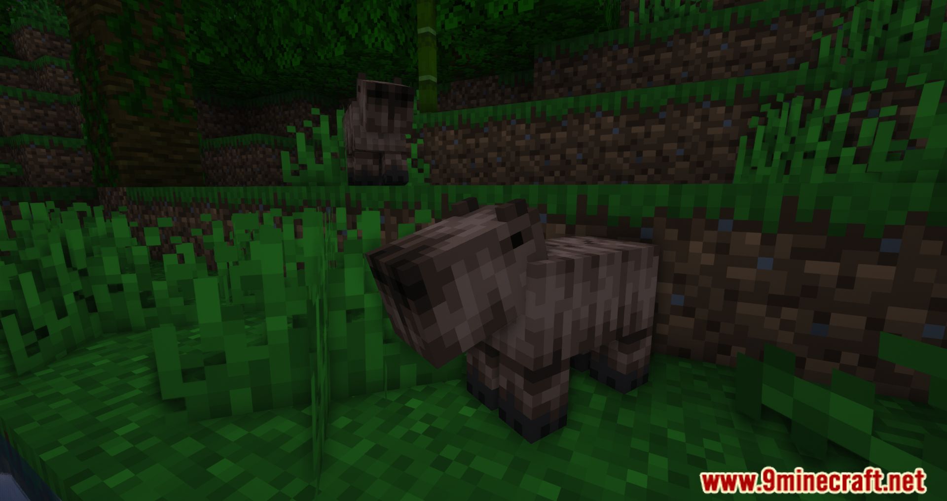 description_4 TechSupportRed's Capybara Mod 1.20.2 - Новое существо из джунглей, капибара!