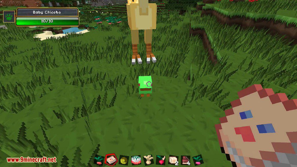 image 8 for Мод ChocoCraft (1.20.4) - Чокобо из Final Fantasy