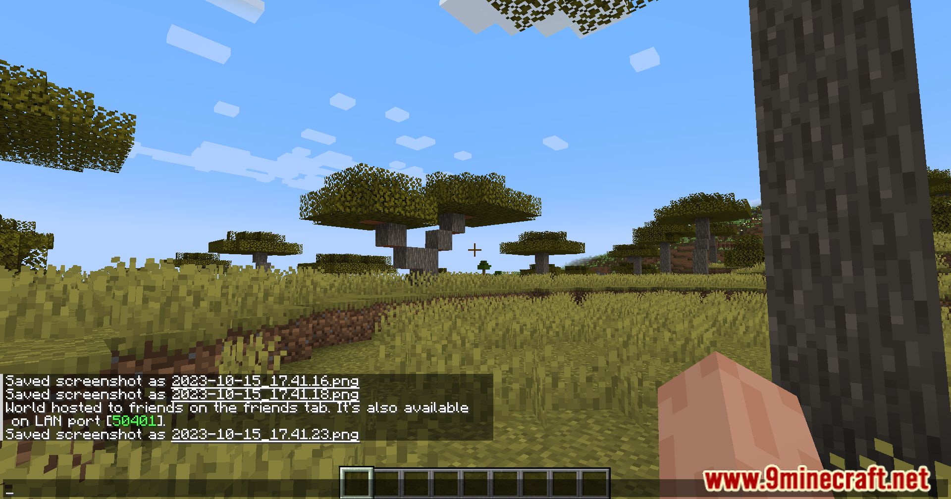 description_4 World Host Mod (1.20.4, 1.20.3) - Share the adventure!