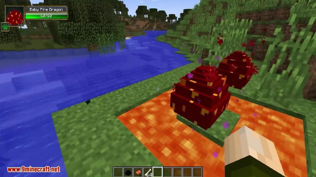 description_1 Dragon Mounts Mod (1.12.2) - катайтесь на драконах и приручайте их