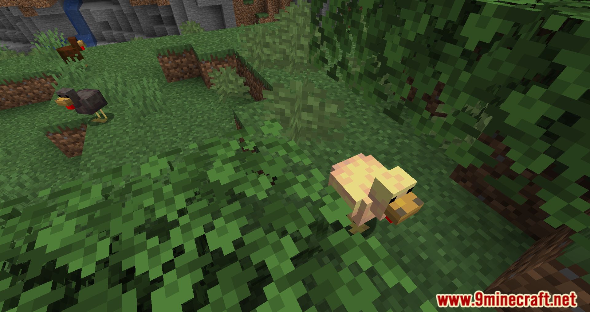 description_4 Mod Pack ligeramente aromatizado - Escucha el viento y la aventura.