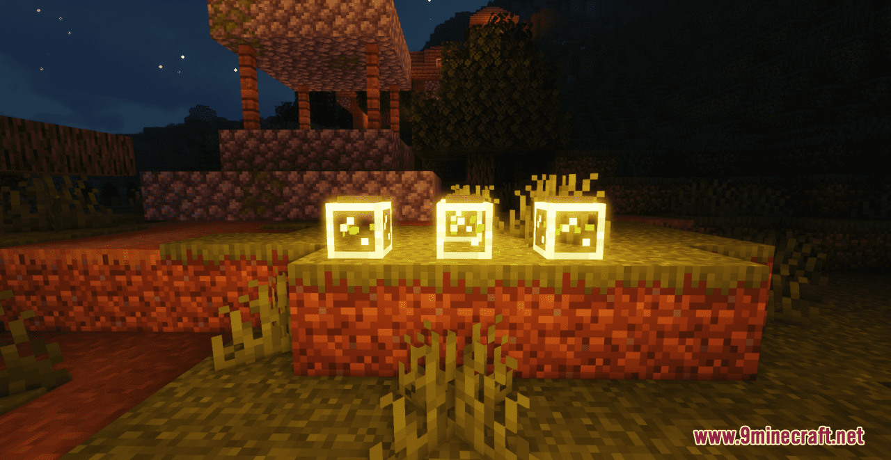 description_5 Resource pack