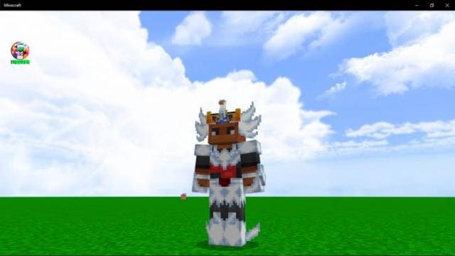 description_4 Рыцари зодиака.