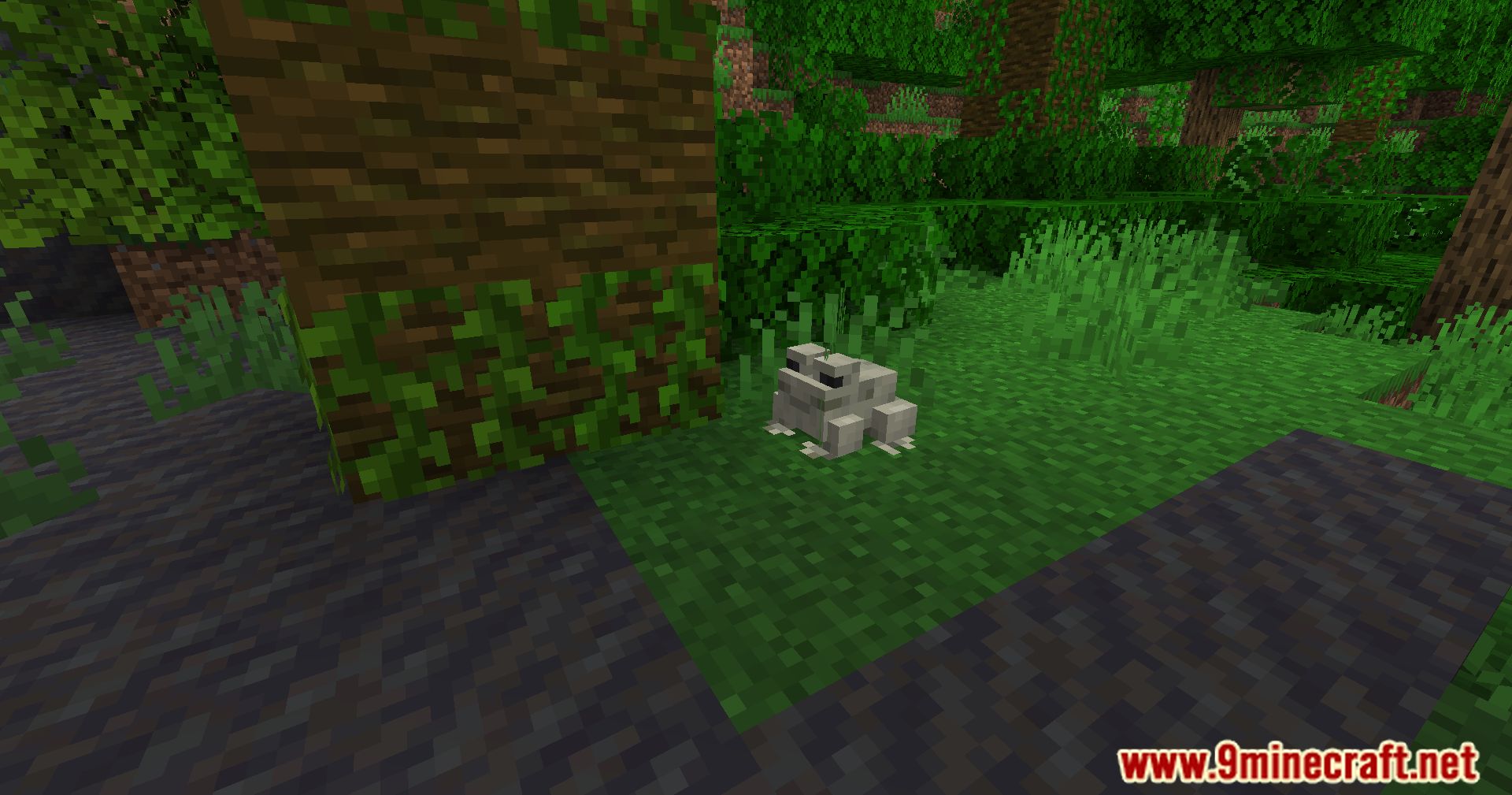 description_3 Frog Legs Mod (1.20.4) - Окунитесь в новое кулинарное приключение!