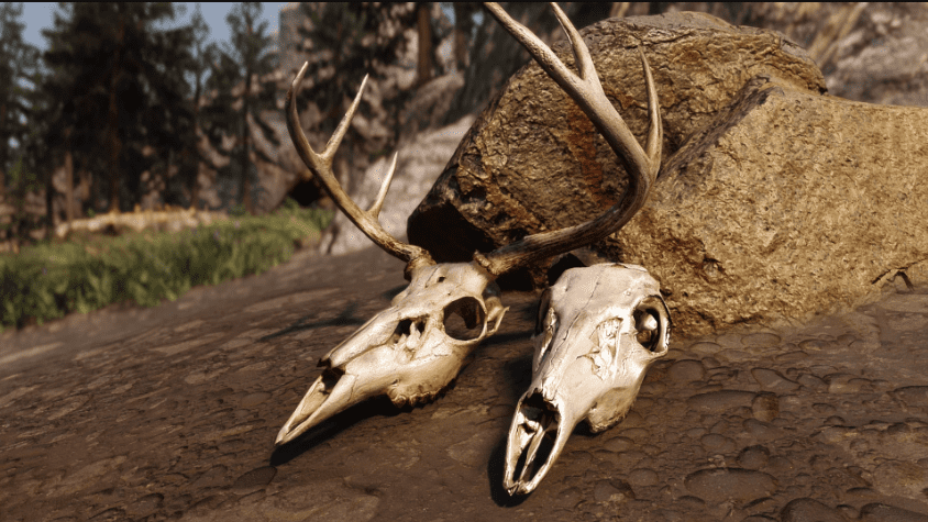 description_1 3D Deer Skull Replacement