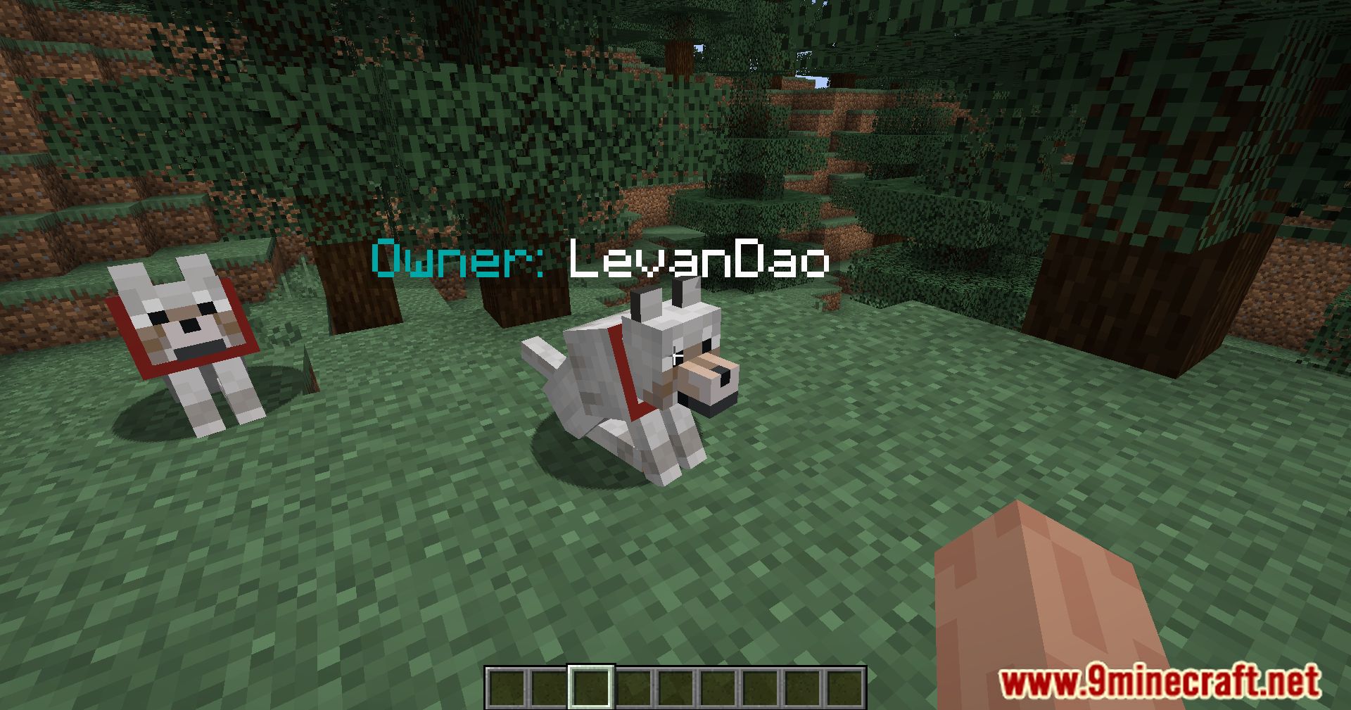 description_7 Dueño de mascotas Mod 1.20.4 - identificar a los dueños de mascotas de un vistazo