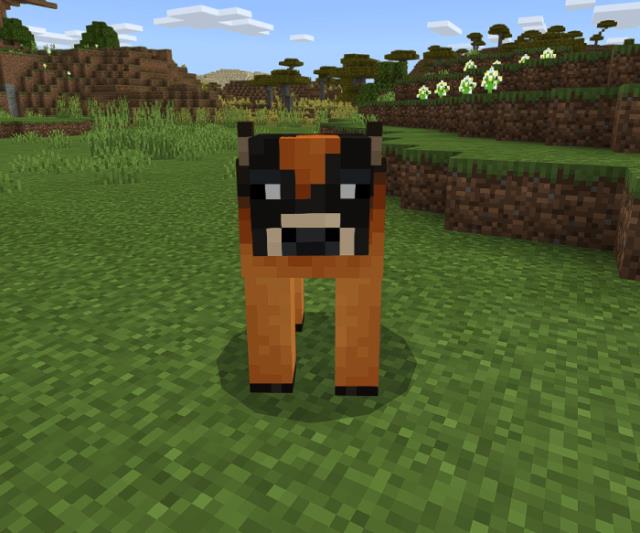 description_7 Vacas de Minecraft Earth.