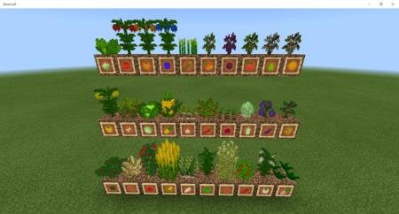 description_2 More harvest.