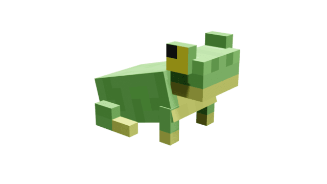 description_6 More pets.