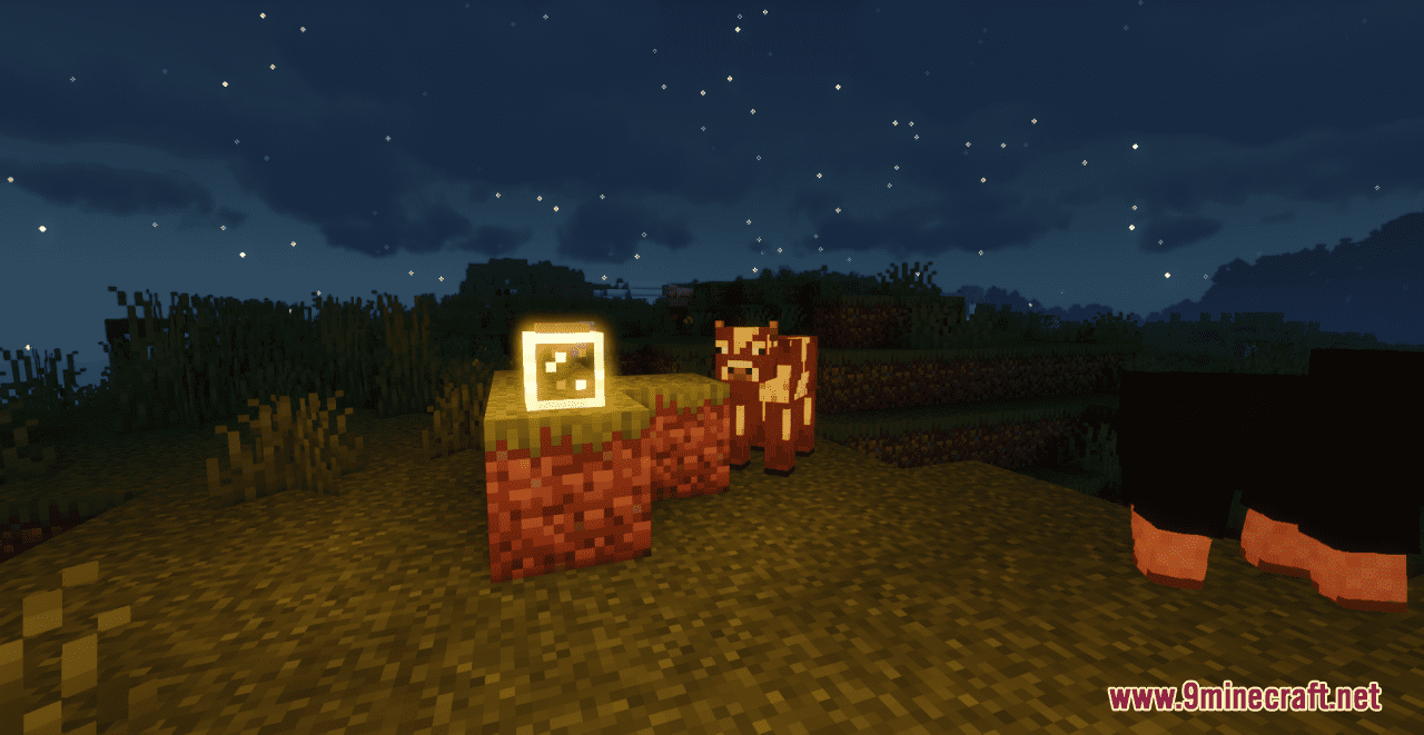 description_10 Resource pack