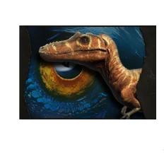 image 4 for 