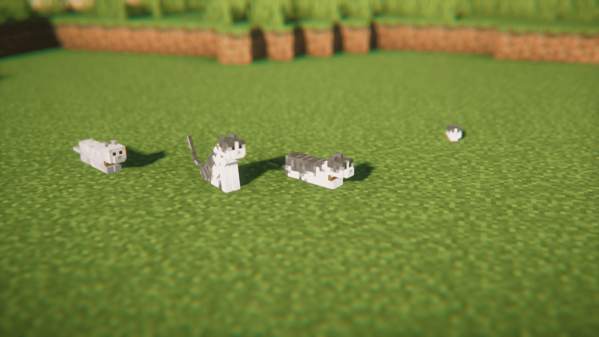 image 1 for Cat Loaf Mod (1.20.4) - домашняя кошка завернута в буханку