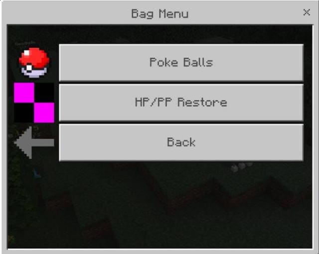 description_17 Pokébedrock