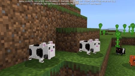 description_6 Mod: Hamster.